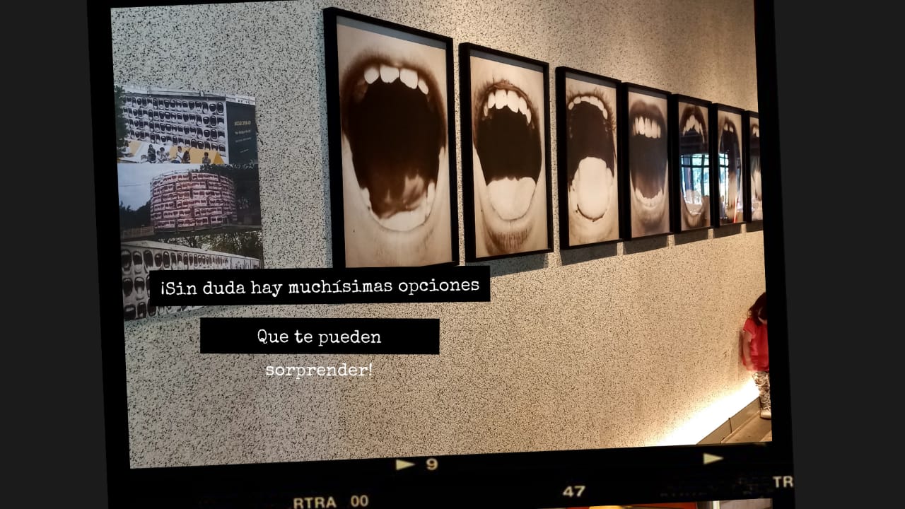 La Fernetería - Bar, Museo de Bellas Artes